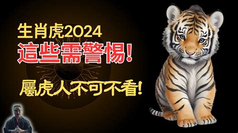 屬虎財運|2024屬虎幾歲、2024屬虎運勢、屬虎幸運色